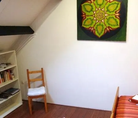 Lino Camino Koningsbosch